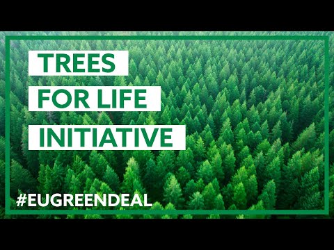 Trees for Life initiative: join the pledge to plant 3 billion trees by 2030!