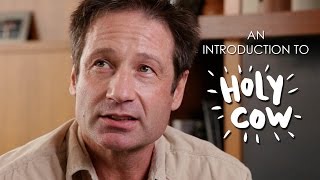 David Duchovny - HOLY COW: An introduction to the book