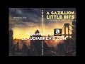 A Gazillion Little Bits Book Trailer