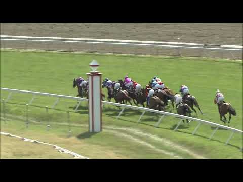 video thumbnail for MONMOUTH PARK 6-15-24 RACE 7