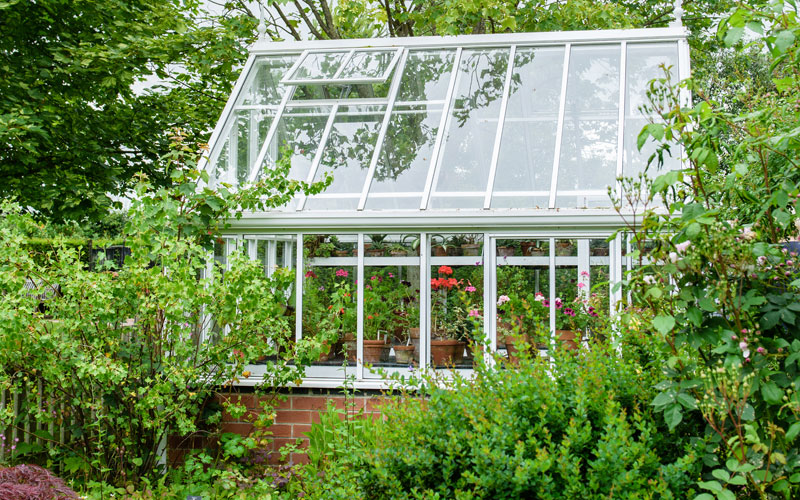 greenhouse ventilation open window