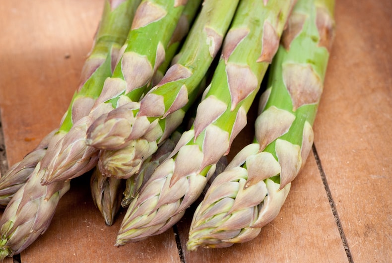 Asparagus officinalis 'Guelph Millennium' (Spring Planting) from Thompson & Morgan