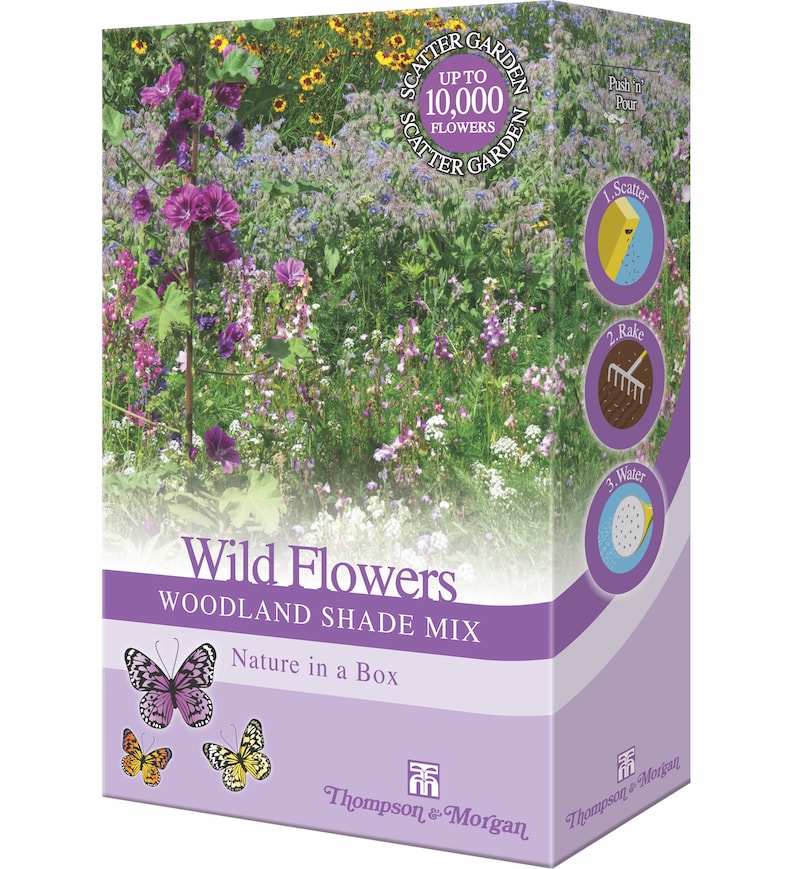 Wildflowers ‘Woodland Shade Mix' seed box from Thompson & Morgan