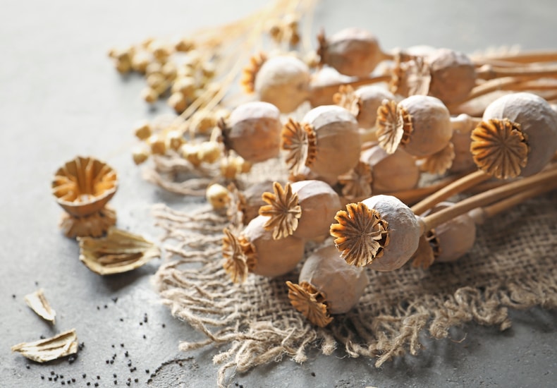 Dried poppy heads on table