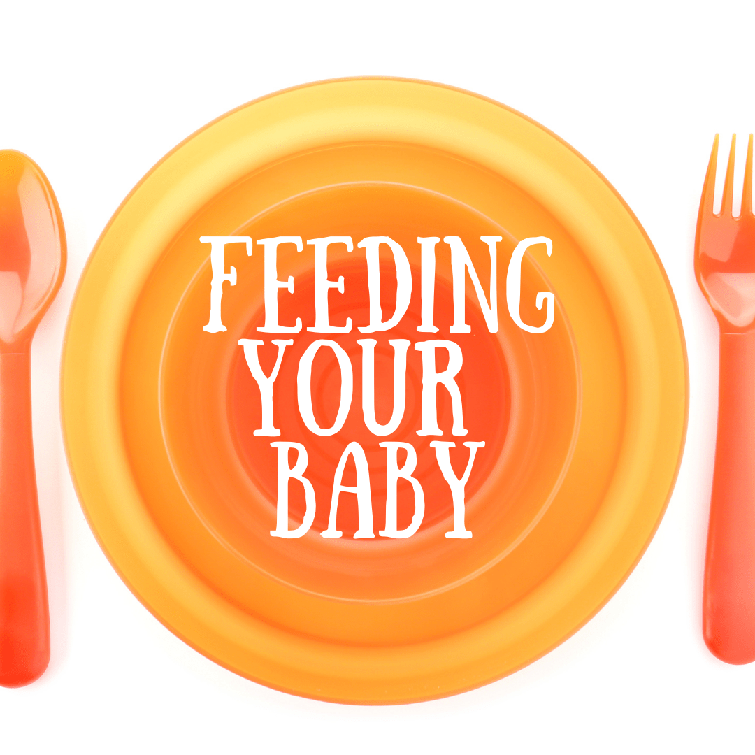 Lead-Free Baby Dishes, Cups, Cutlery & Food Storage