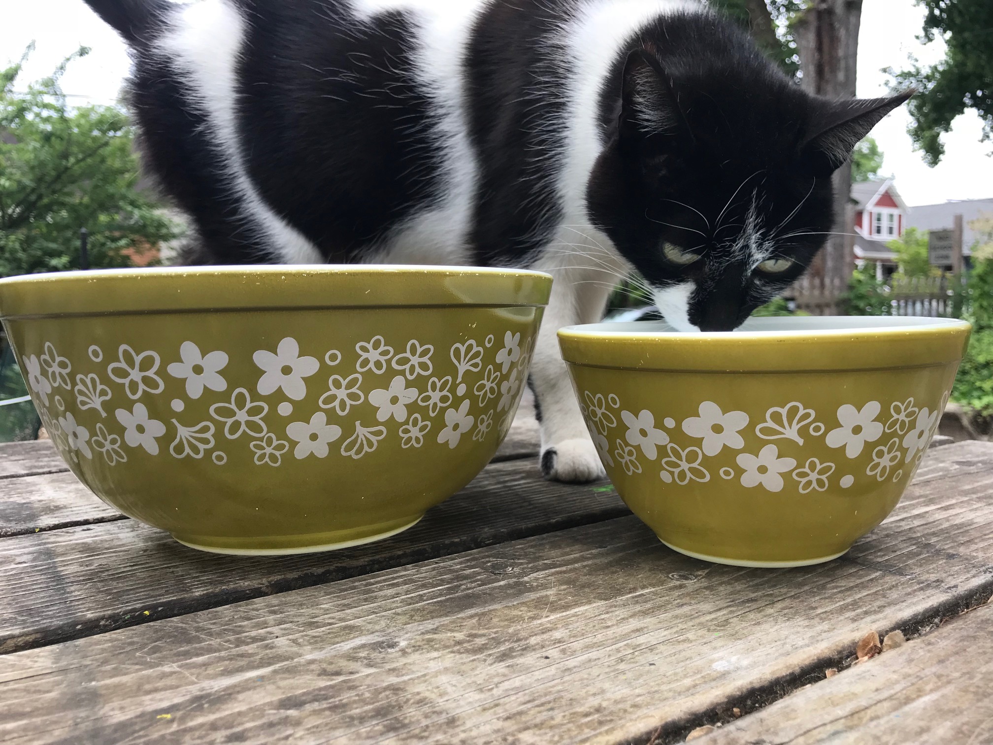 Vintage Pyrex Spring Blossom Green Crazy Daisy Mixing Bowls: 109,900 ppm Lead