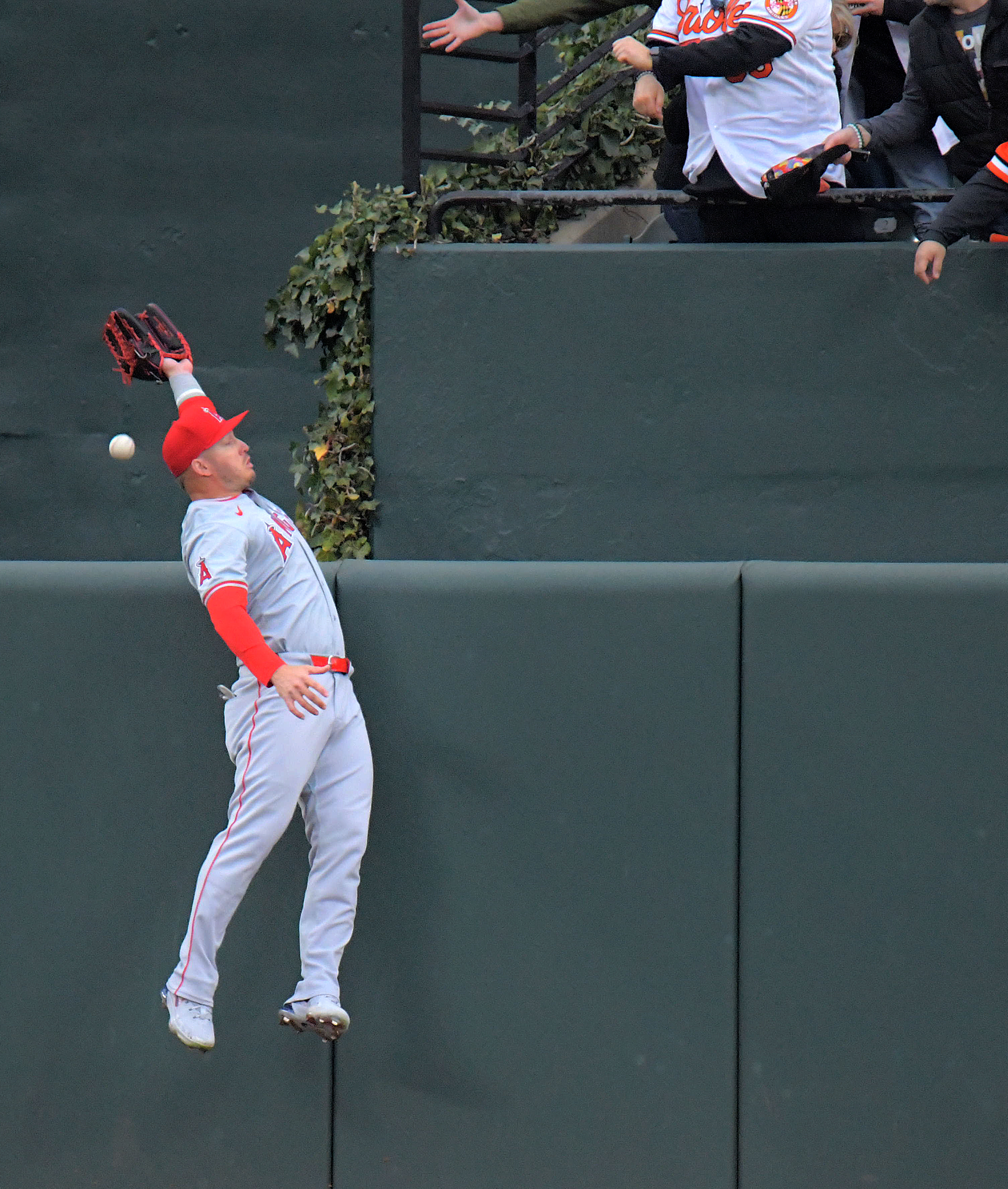 Mar 28, 2024: Los Angeles Angels center fielder Mike Trout leaps for a drive belted by Baltimore Orioles batter Cedric Mullins which clears the wall during opening day of Major League Baseball at Oriole Park at Camden Yards. (Karl Merton Ferron/Staff)