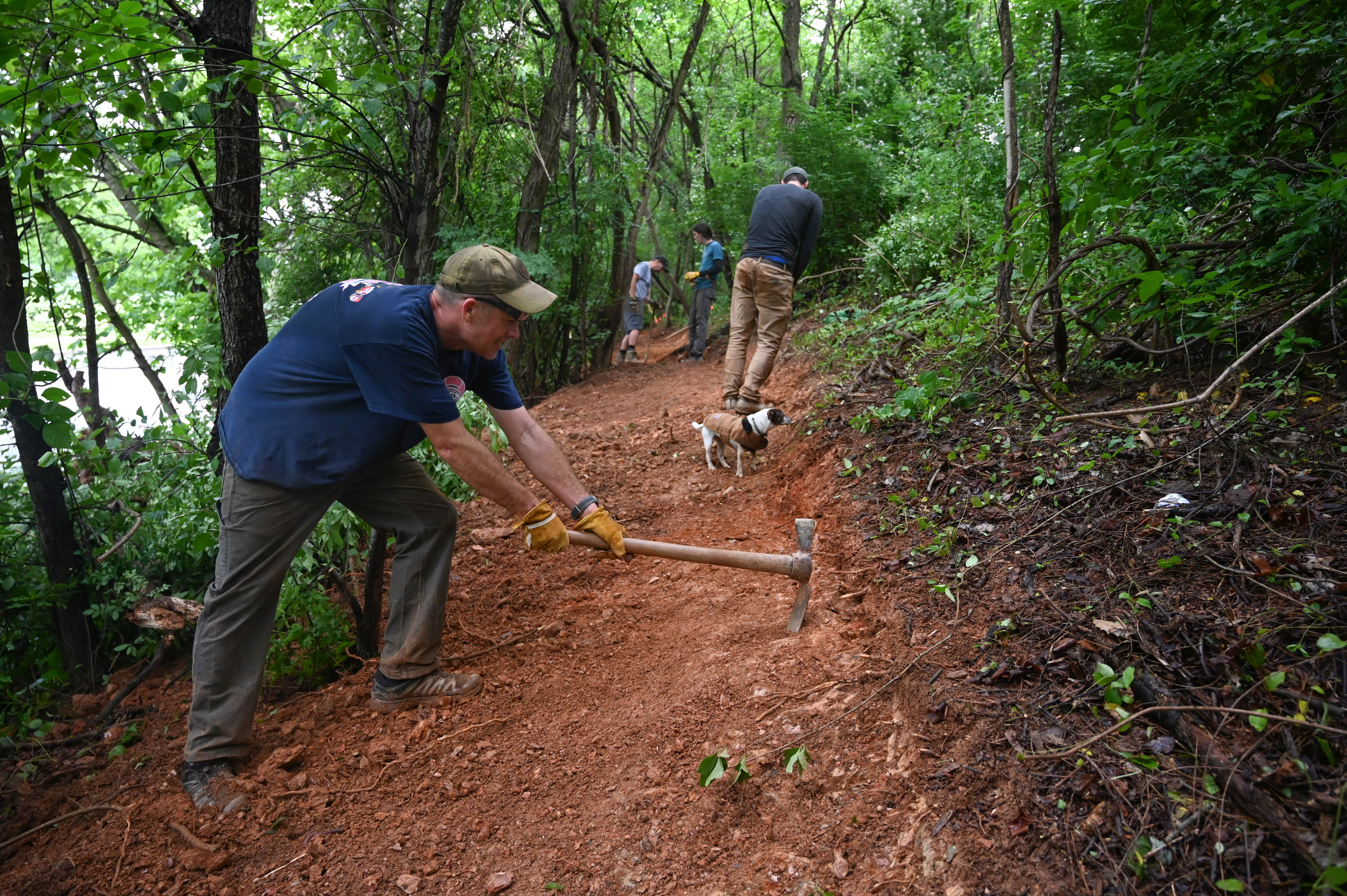 Patrick Ellis, trail liaison, works with a group of other volunteers as they make progress in the creation of a new bike trail, Windy Ridge Trails, at Mount Airy's East West Park on Saturday. (Brian Krista/staff photo)