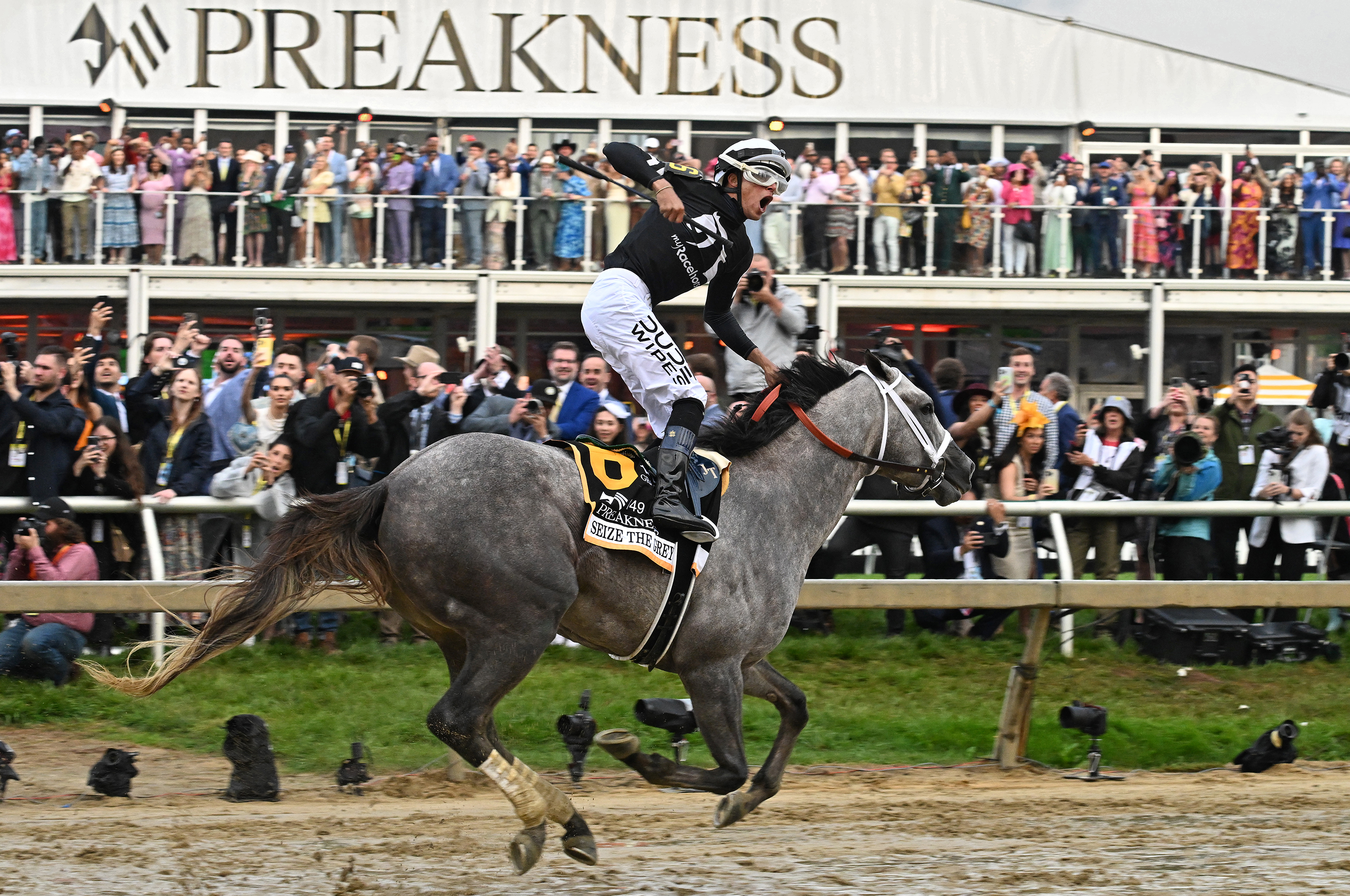 Jaime Torres celebrates winning the 149th running of the Preakness Stakes at Pimlico Race Course aboard Seize the Grey. (Kim Hairston/Staff)