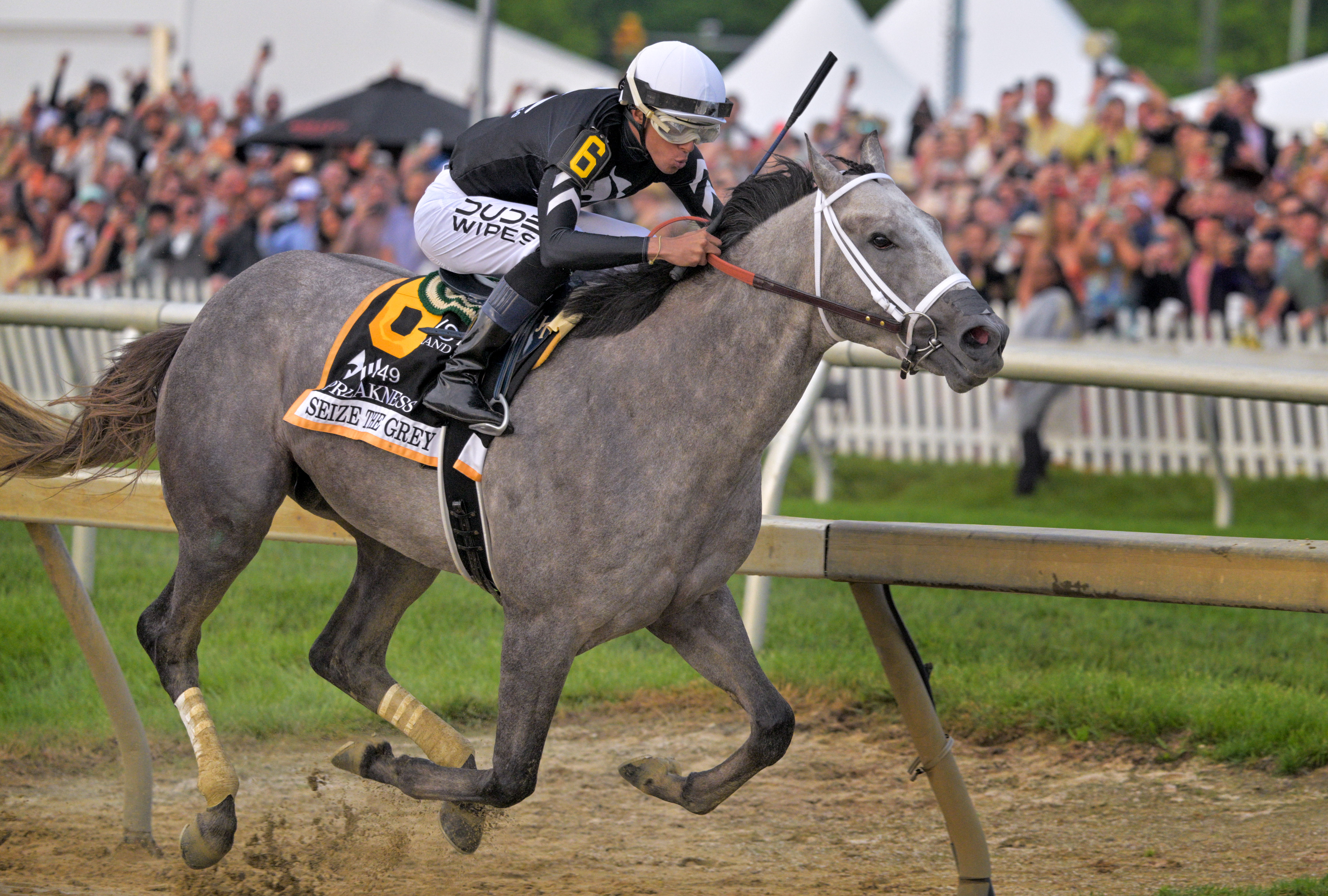 No. 6, Seize the Grey ridden by Jaime Torres breaks into the final stretch ahead of the pack to seize the 149th running of the Preakness Stakes at Pimlico Race Course. Seize the Grey ridden by Jaime Torres won. (Karl Merton Ferron/Staff)