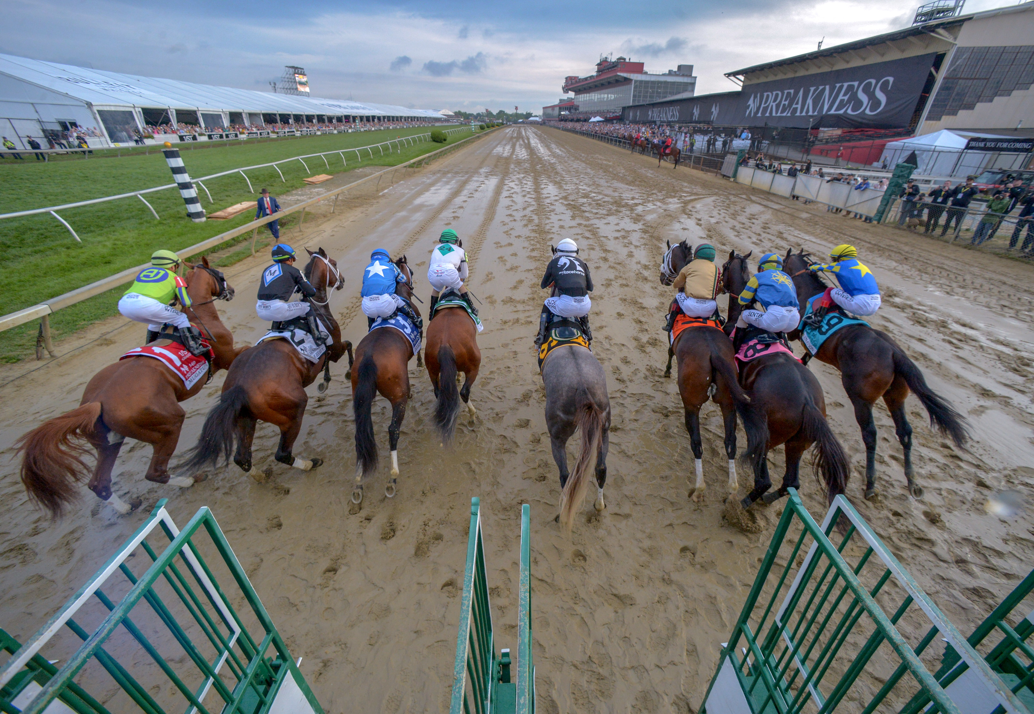 Jockey Jaime Torres, riding Seize the Grey alone at center, breaks out of the starting gate with the pack of eight horses during the 149th running of the Preakness Stakes at Pimlico Race Course. Seize the Grey ridden by Jaime Torres won. (Karl Merton Ferron/Staff)