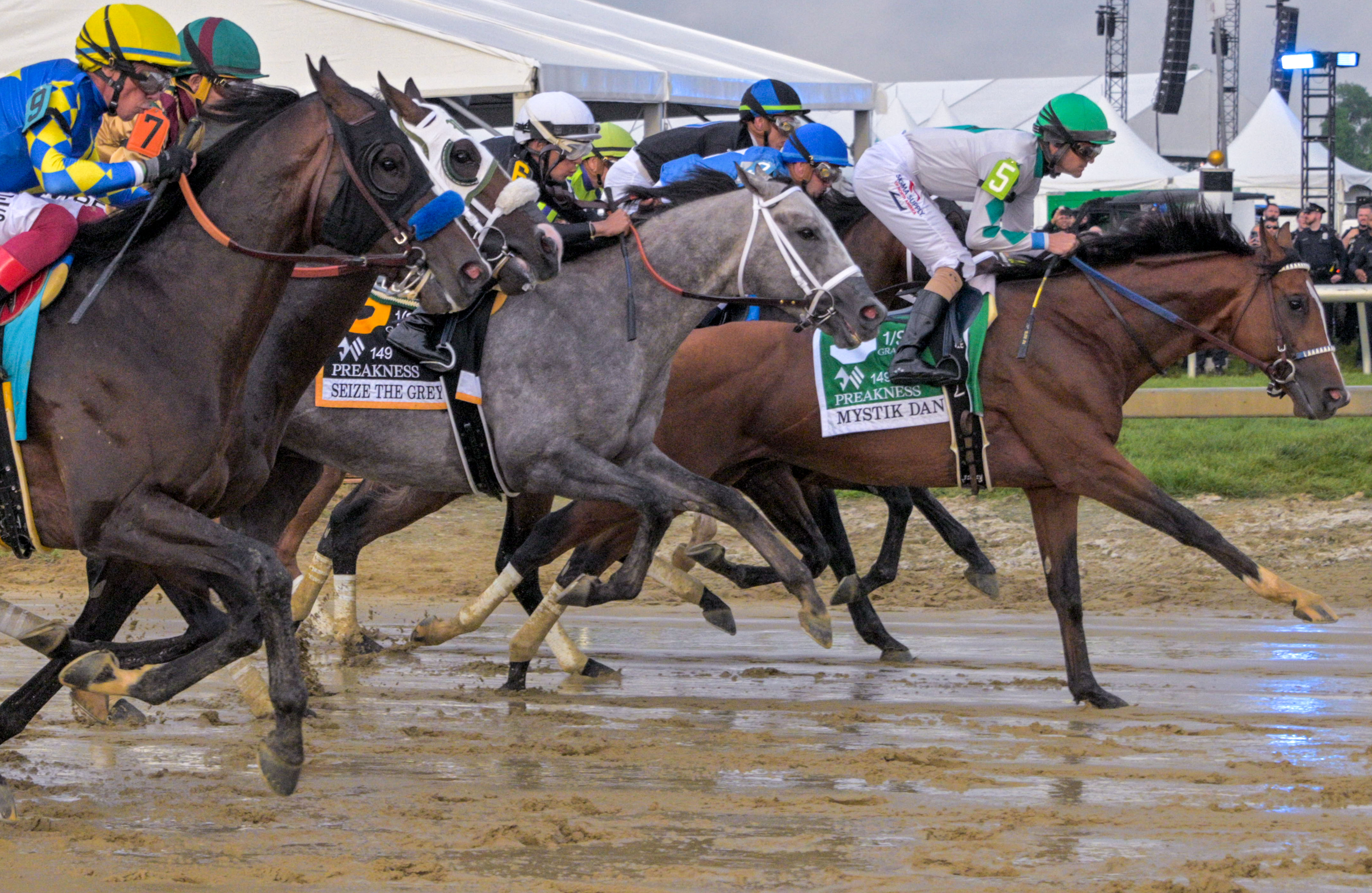 Number 6, Seize the Grey ridden by Jaime Torres briefly trails no. 5, Mystik Dan ridden by Brian Hernandez Jr. out of the starting gate before taking charge to win the 149th running of the Preakness Stakes at Pimlico Race Course. (Karl Merton Ferron/Staff)