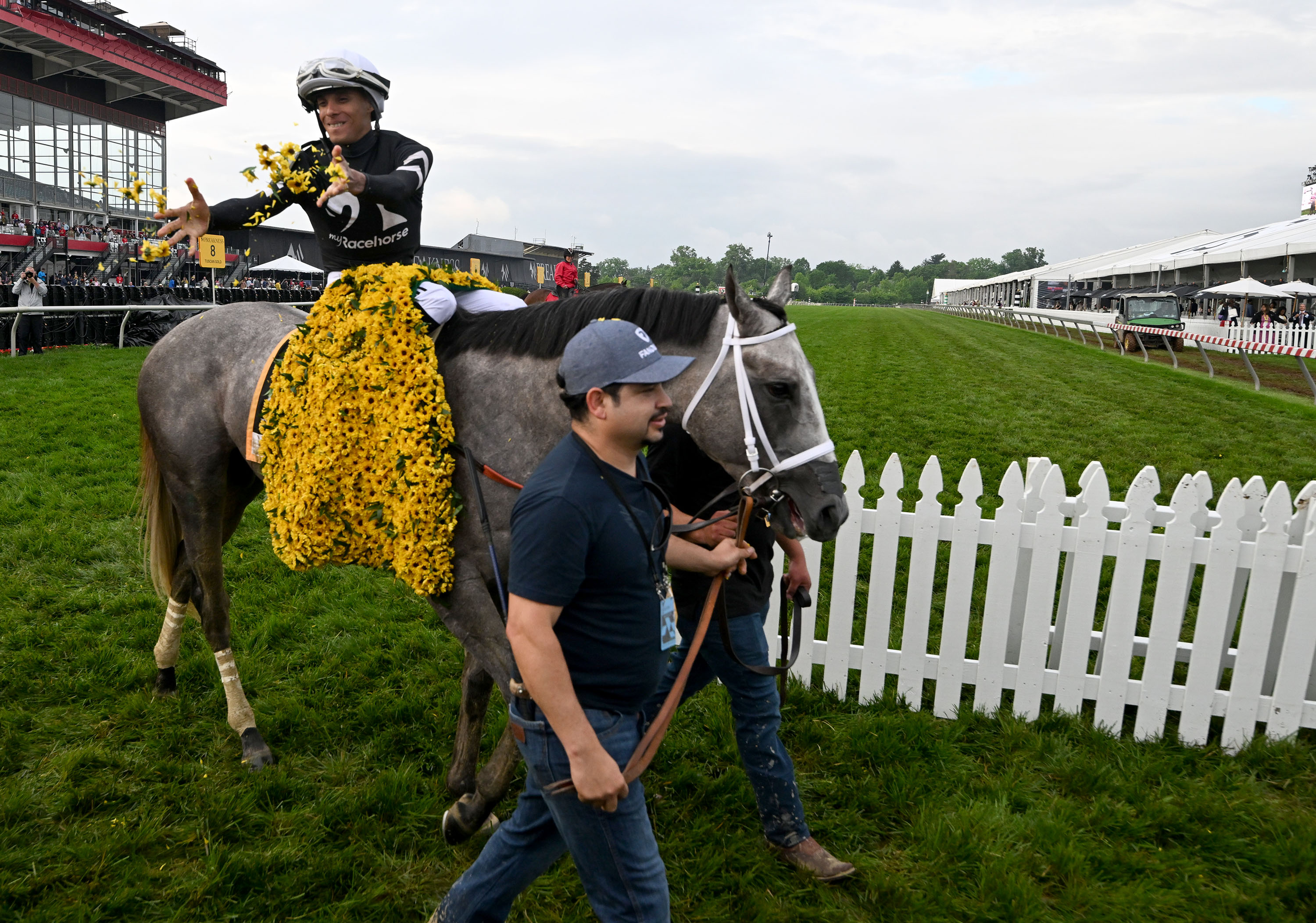 Jaime Torres, jockey on Seize the Grey, celebrates the win at the 2024 Preakness Stakes at Pimlico Race Course Saturday. (Kenneth K. Lam/Staff)