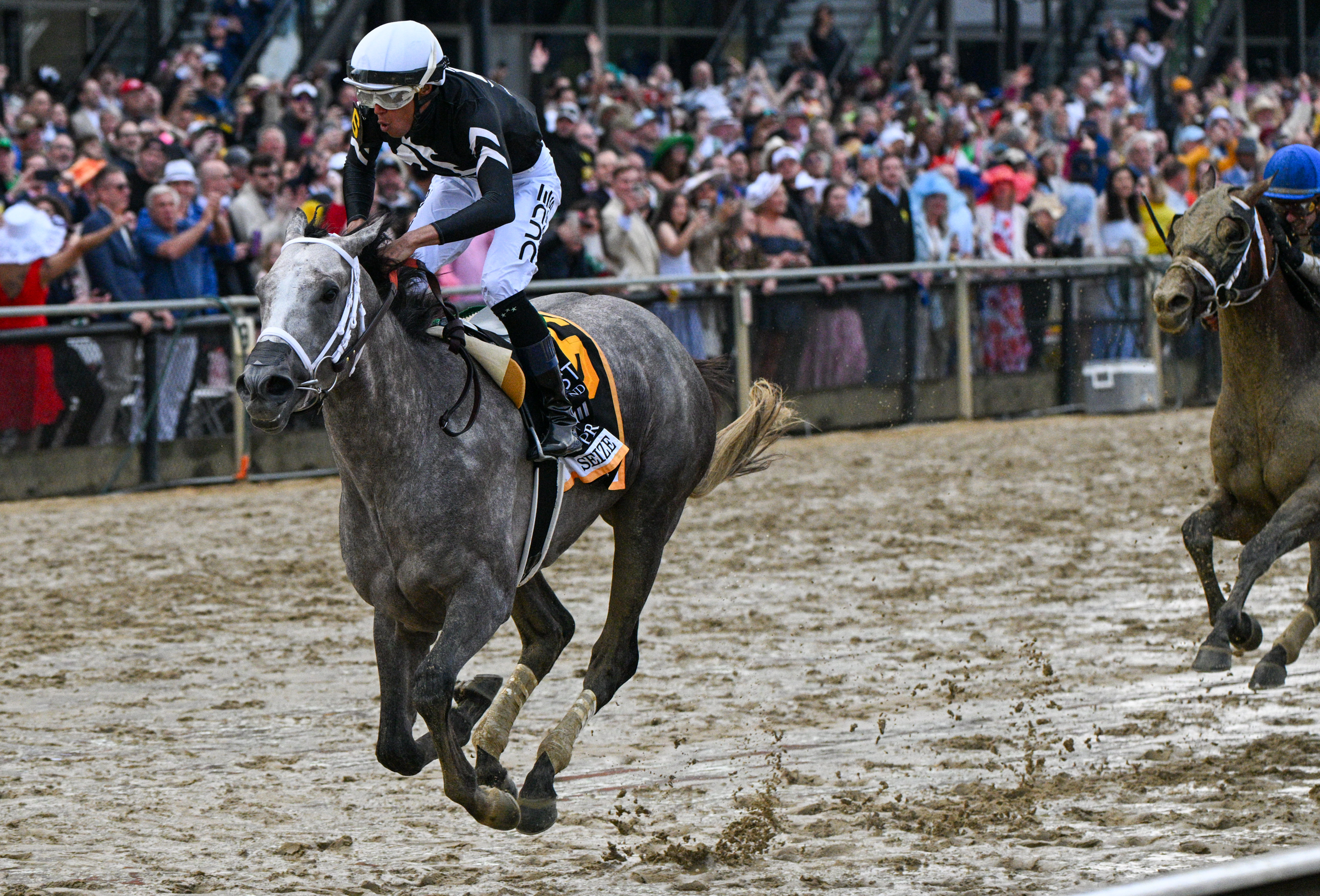 Seize the Grey ridden by Jaime Torres wins the 2024 Preakness Stakes at Pimlico Race Course Saturday. (Kenneth K. Lam/Staff)