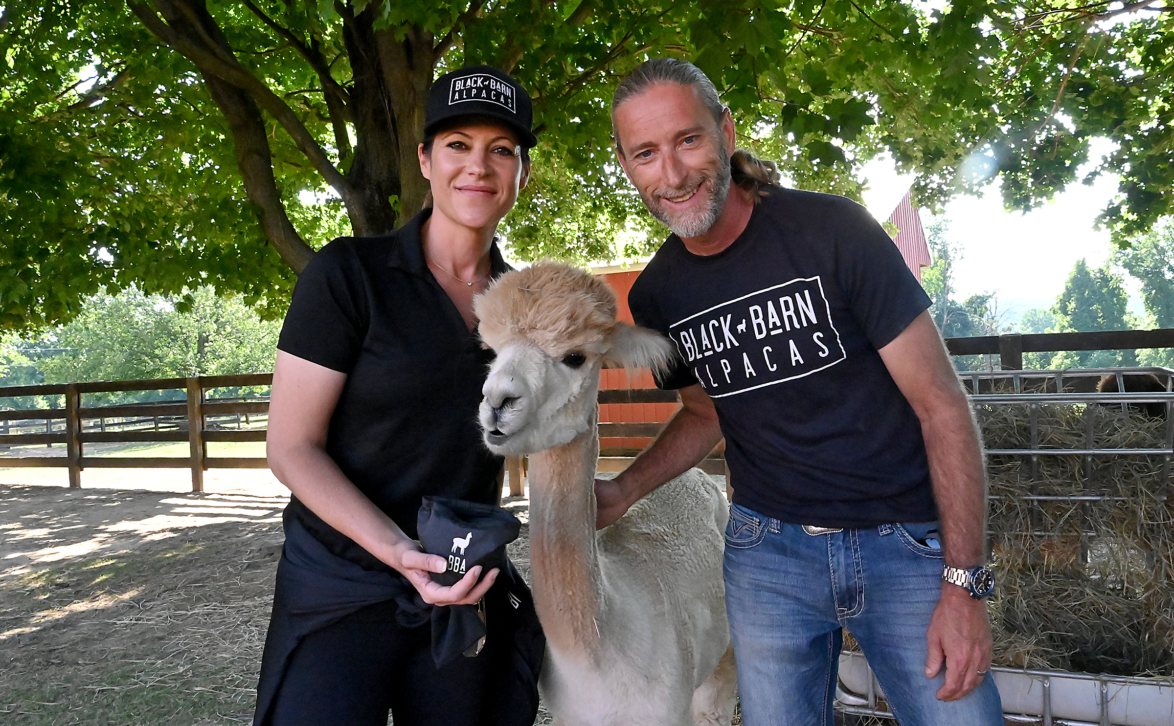 Black Barn Alpacas in Finksburg is owned and operated by Travis and Yussy McManus, photographed with Silohette, aka Silly Girl. Silly Girl, a favorite, was an anniversary present from Travis to Yussy.(Jeffrey F. Bill/Staff photo)