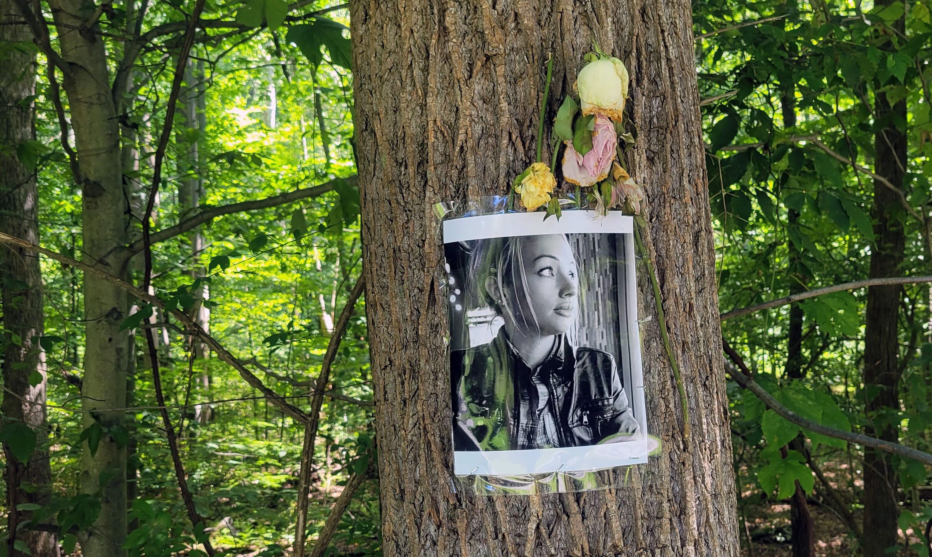A memorial for Rachel Morin is displayed on a tree on the Ma & Pa Heritage Trail in Bel Air.