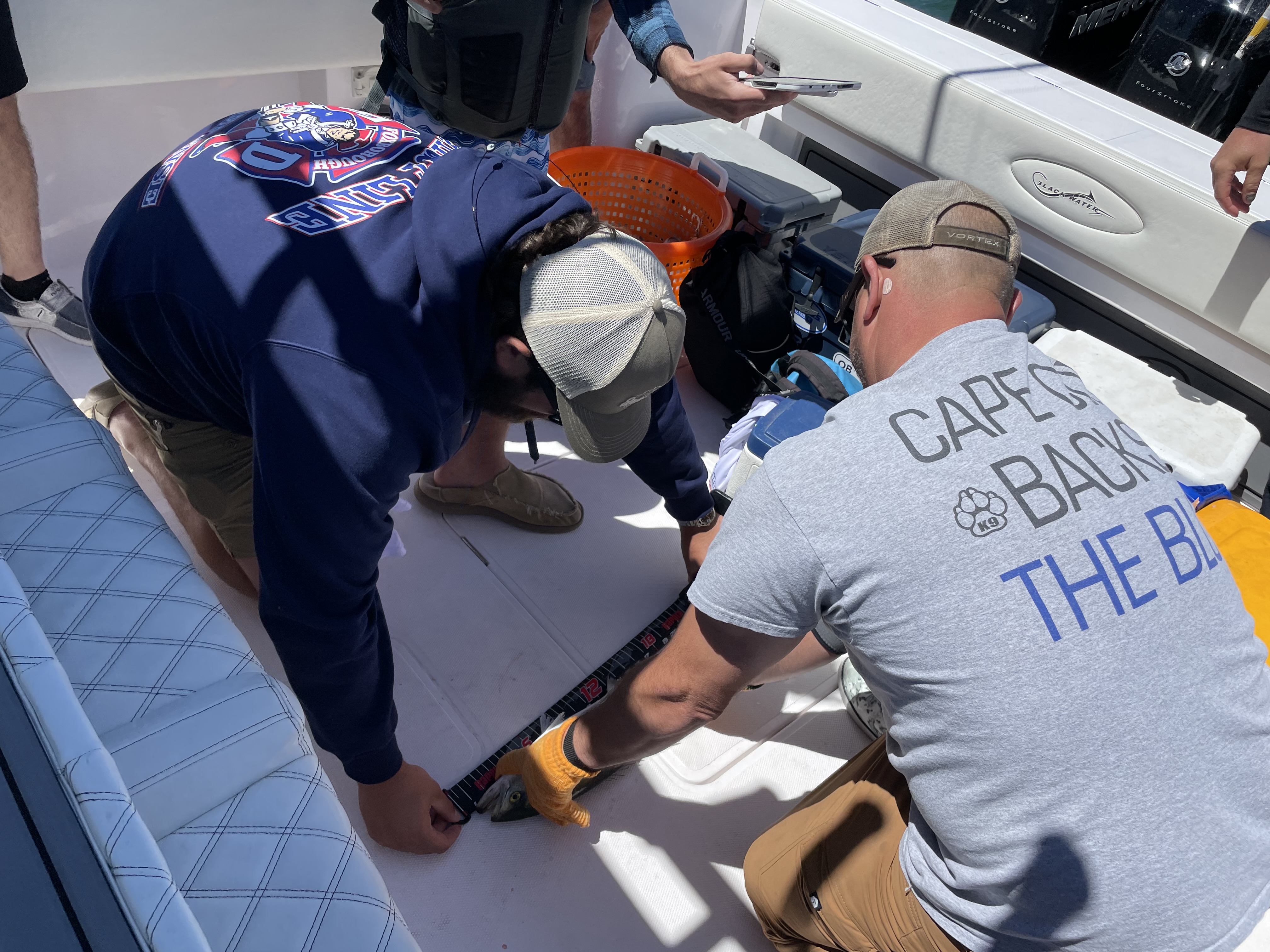 Patriots center David Andrews, left, measures a bluefish in the back of a deep sea fishing boat off Martha's Vineyard on Saturday, June 8, 2024. (Andrew Callahan/Boston Herald)