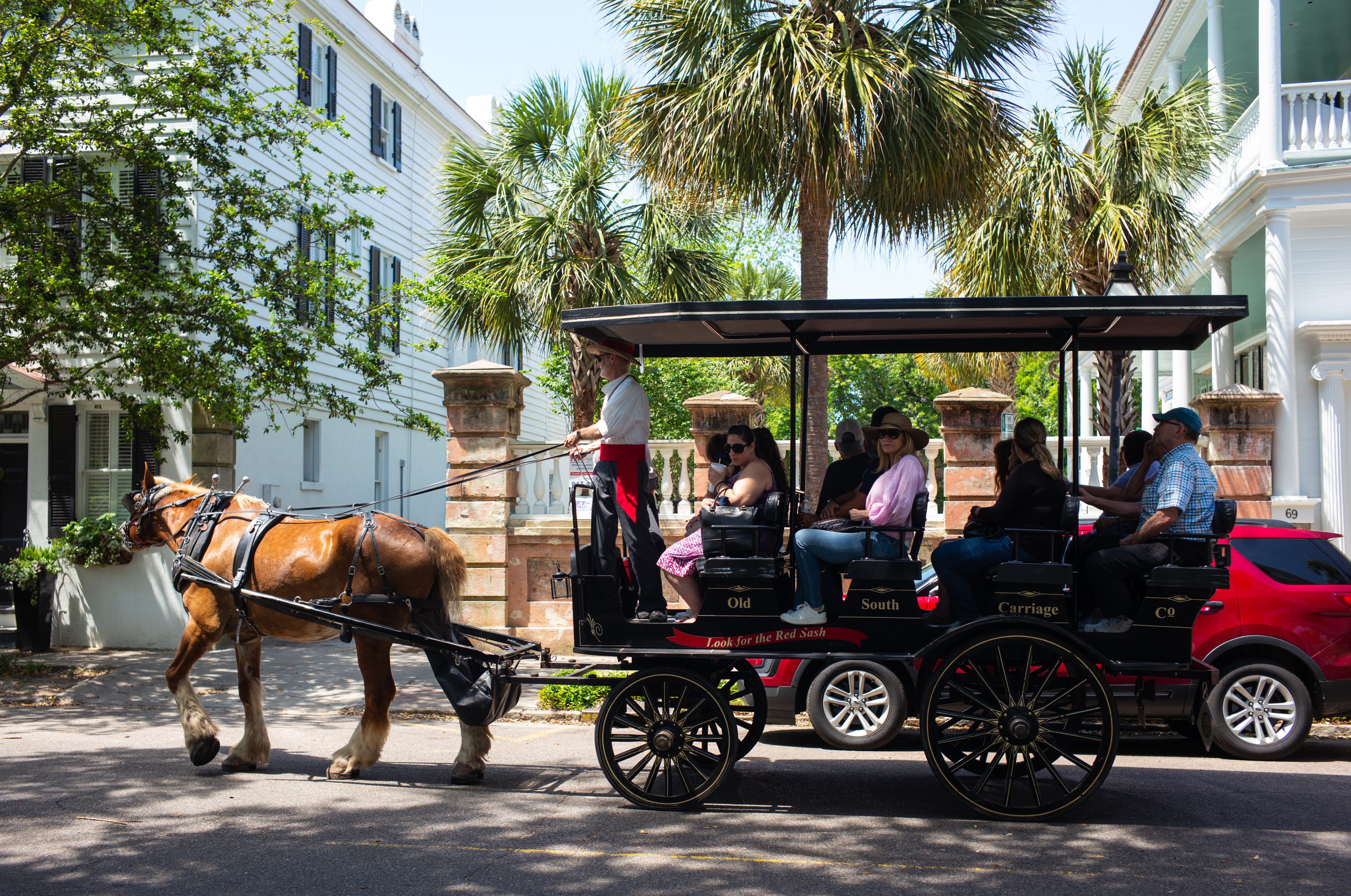 Guides lead tourists through streets on a horse drawn buggy in the historic 19th-century downtown Charleston, South Carolina on April 24, 2019. (Robert Nickelsberg/Getty)