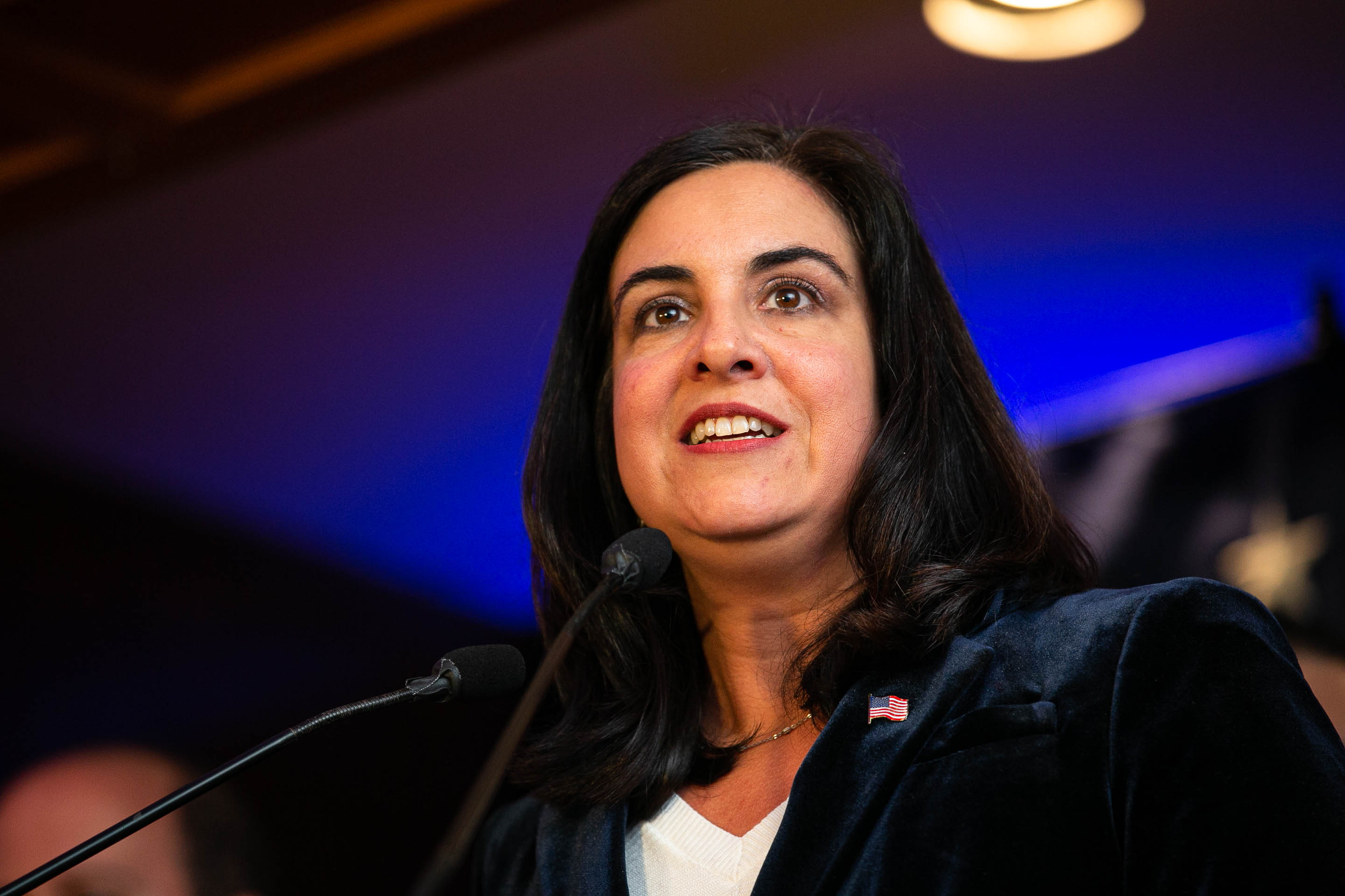 Rep. Nicole Malliotakis (Shawn Inglima for New York Daily News)