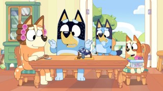 Where and When to Watch New ‘Bluey’ Episodes