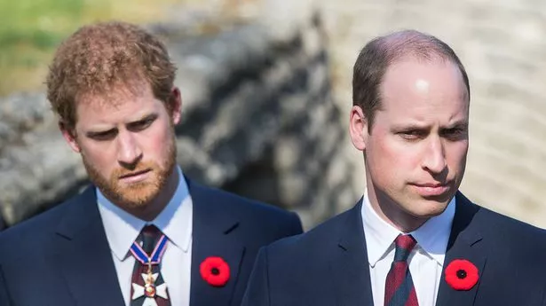 Prince Harry and Prince William side by side looking serious