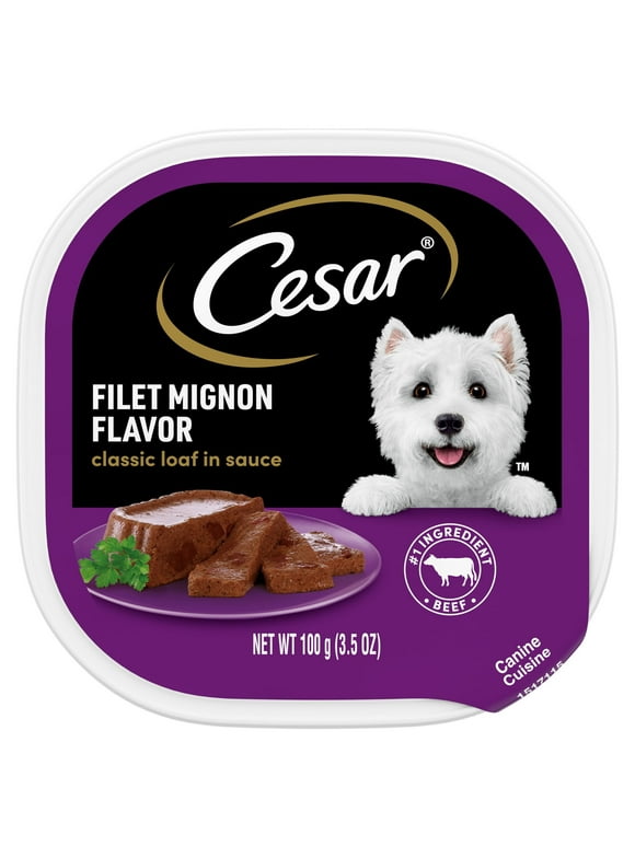 CESAR Canine Cuisine Filet Mignon Flavor Dog Food Trays 3.5 Ounces