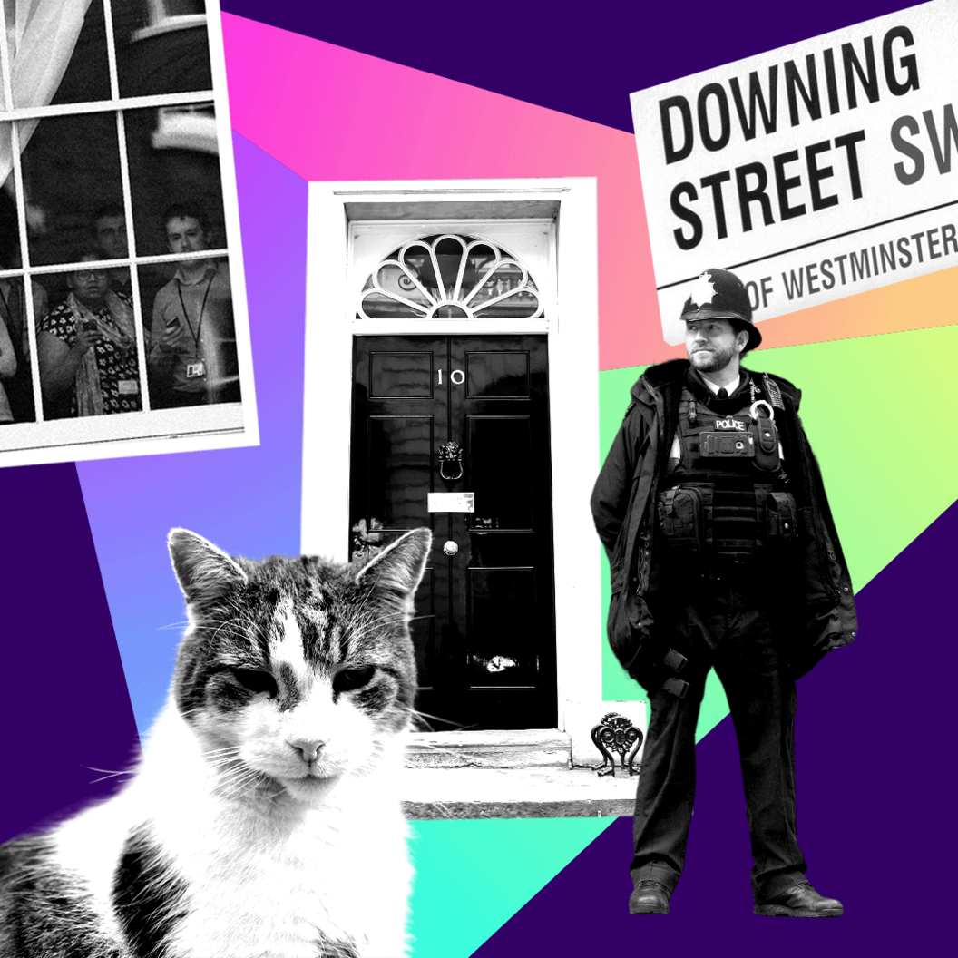 Collage of Larry the cat, the door of No 10 Downing Street, a police man, the Downing Street road sign and staff looking out the windows at Downing Street