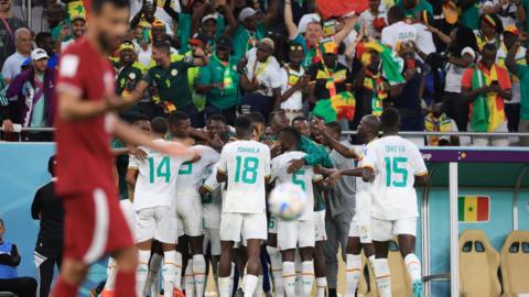 Senegal celebrate