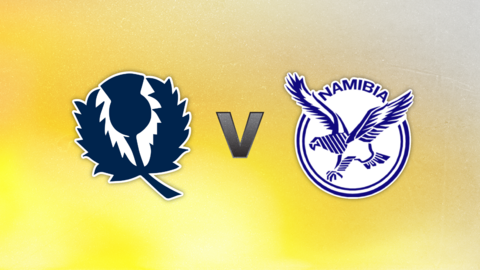 Scotland v Namibia badge graphic