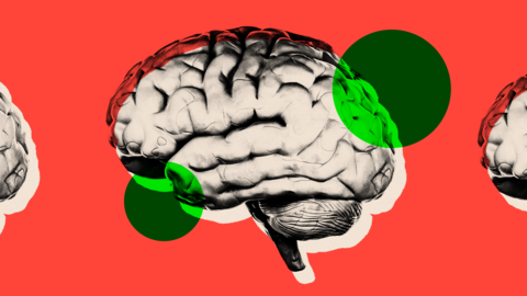Montage image showing three brains against a red backdrop