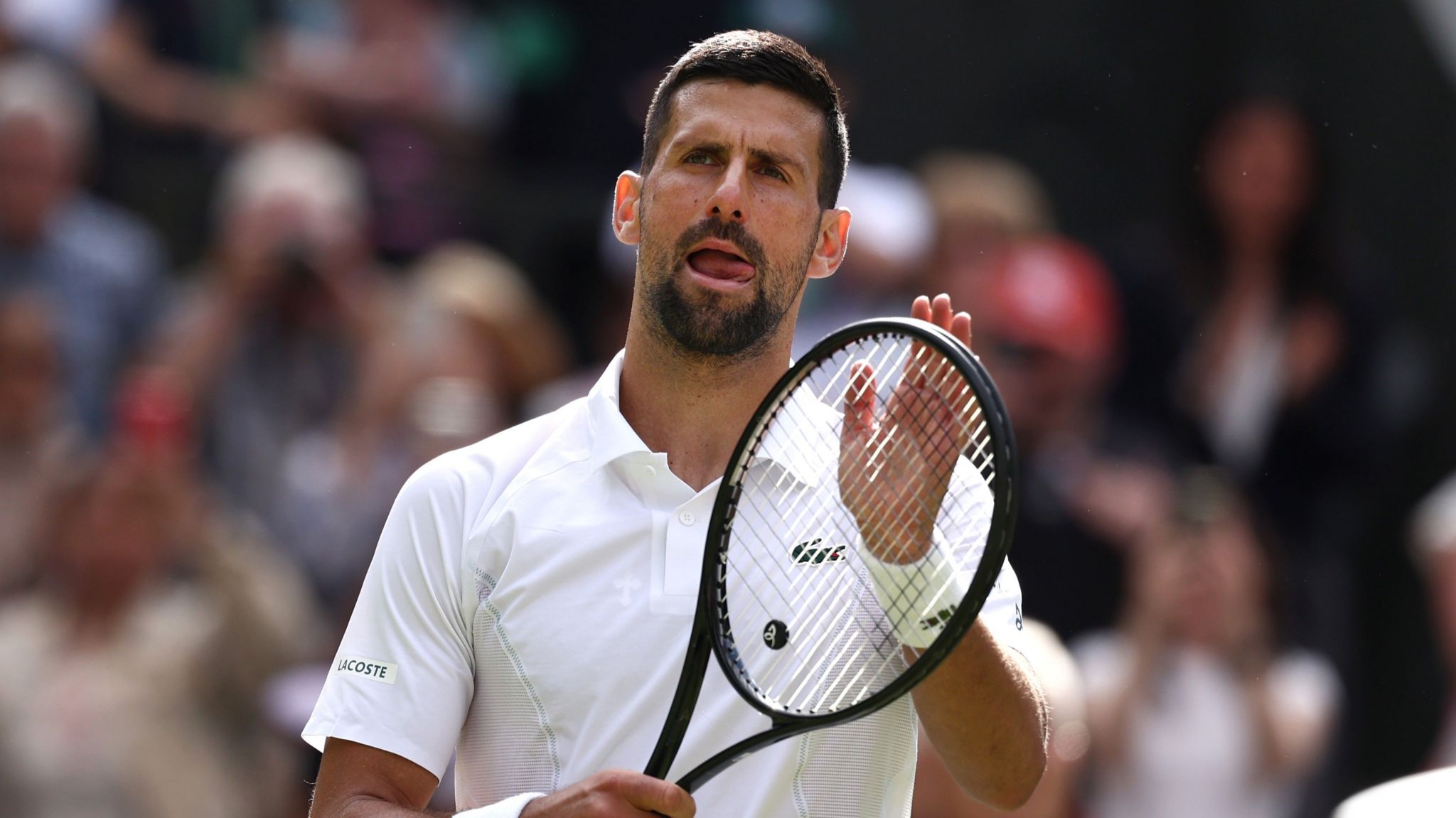 Novak Djokovic at Wimbledon