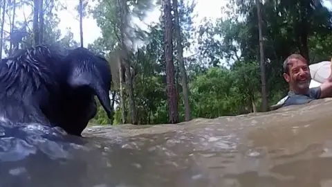 Man and dog in flood water