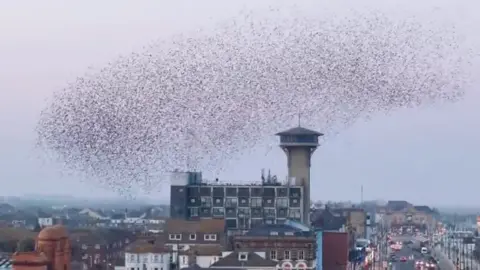 A starling murmuration flying over Great Yarmouth.