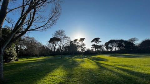 Trees and a low sun cast shadows over grass in a park.