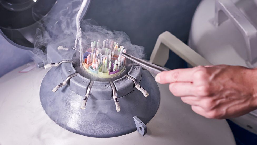 A person manipulating a Frozen Storage At Sperm Bank with nitrogen smoke