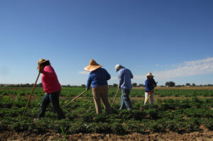 Migrant workers Idaho