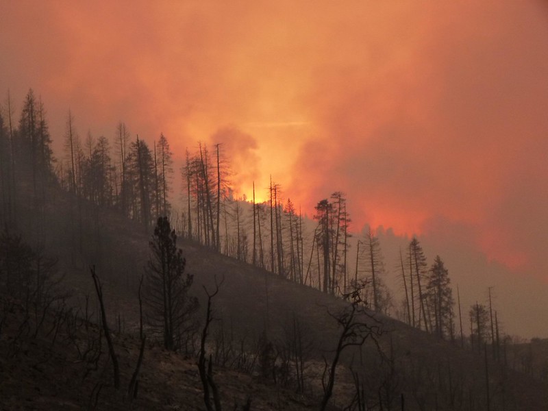 The Rough Fire in Fresno County, California