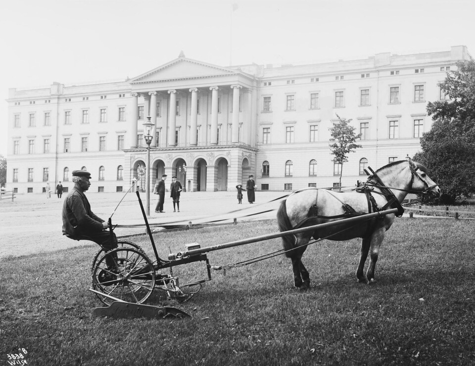 En hest trekker en mann på en slåmaskin foran slottet i 1912.