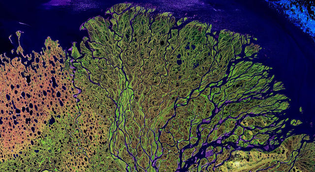 This satellite image of the intricate branches of the Lena River in Russia is an explosion of colors