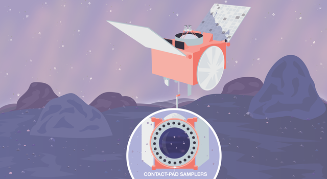 In this cartoonish illustration, OSIRIS-REx descends on a purple, rocky surface. An inset shows a circular device with small circular pads. An arrow points to one of the pads and identifies it as a collection pad.