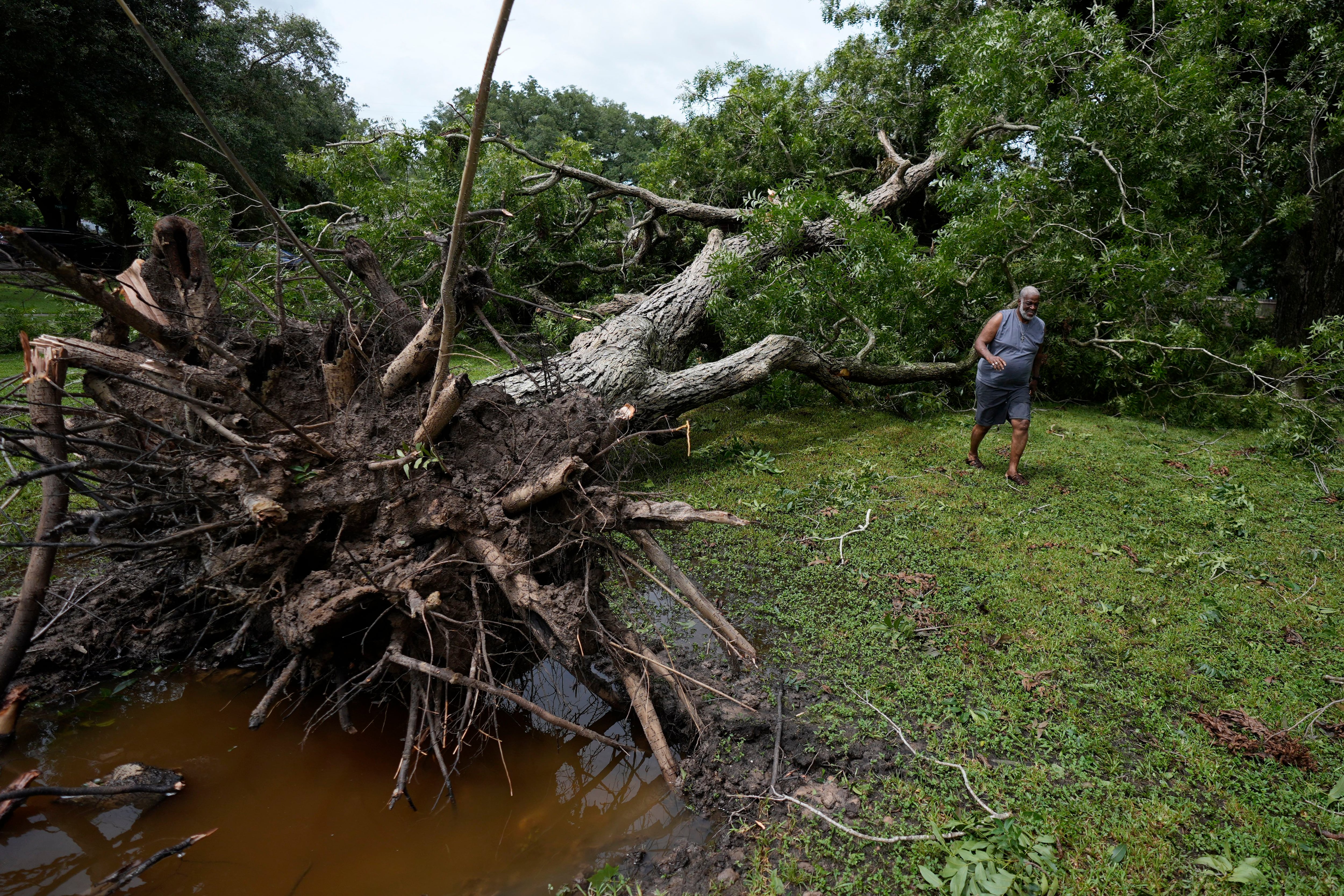 Un árbol caído sobre una vivienda en Bay City, Texas, este lunes.