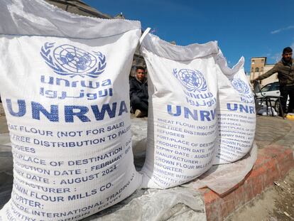 Zona de reparto de ayuda alimenticia suministrada por la UNRWA en Rafah, al sur de la franja de Gaza.