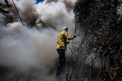 Caso o fogo tivesse atingido esta área, o dano ambiental seria maior e de recuperação mais demorada. Por isso, brigadistas trabalhavam lutando contra o relógio.