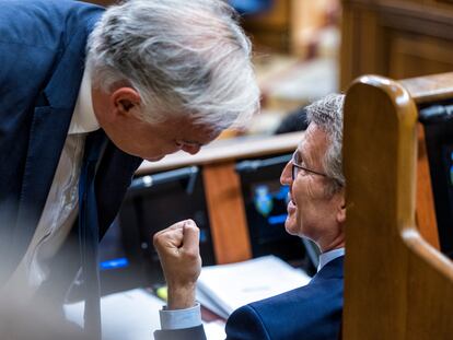 El portavoz del PP en política exterior, Esteban González Pons, pasa delante del escaño en el Congreso de Alberto Núñez Feijóo.