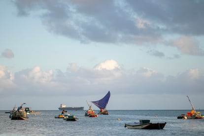 Os jangadeiros também sofrem com a pressão da pesca predatória. 