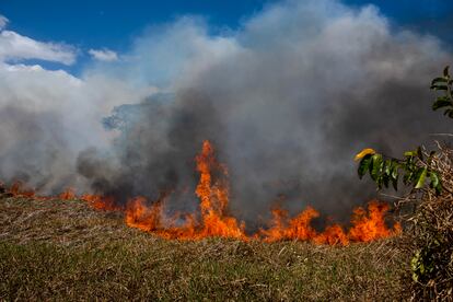 Ao todo, foram 12 focos, que atingiram especialmente as áreas de campo aberto, formadas majoritariamente por capim. São áreas que costumam alagar no primeiro semestre, mas no segundo secam e dão lugar a uma vegetação que facilita que o fogo se alastre.