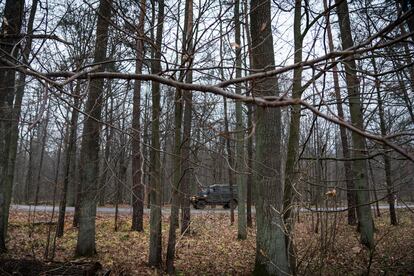 Um veículo militar patrulha a floresta de Bialowieza. 