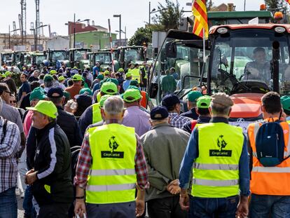 La policía trata de contener a los cientos de agricultores que se han concentrado este miércoles en el Puerto de València.