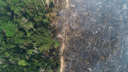 Vista de área desmatada na Amazônia em agosto de 2020.