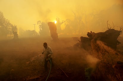 Um homem com uma mangueira tenta hidratar o campo, em uma fazenda da Califórnia (Estados Unidos).